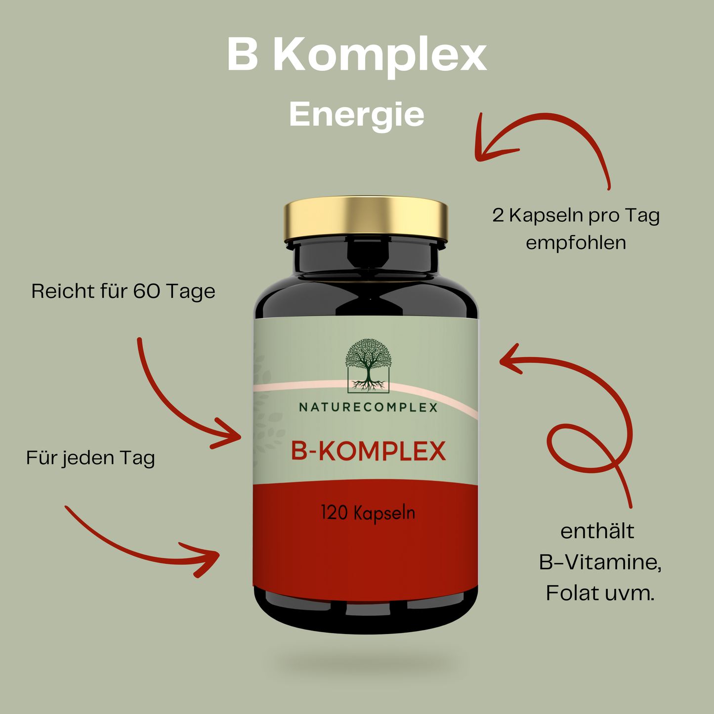 B-Komplex